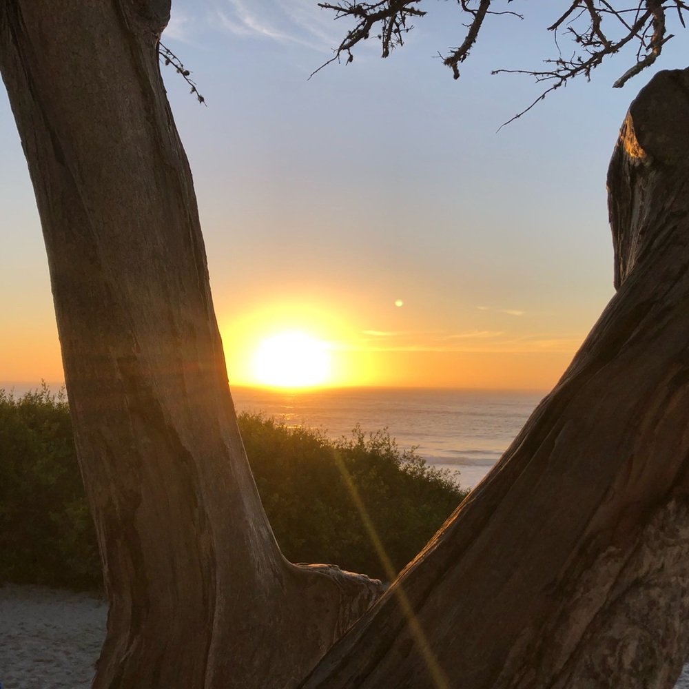 Meet your Posher, Faith